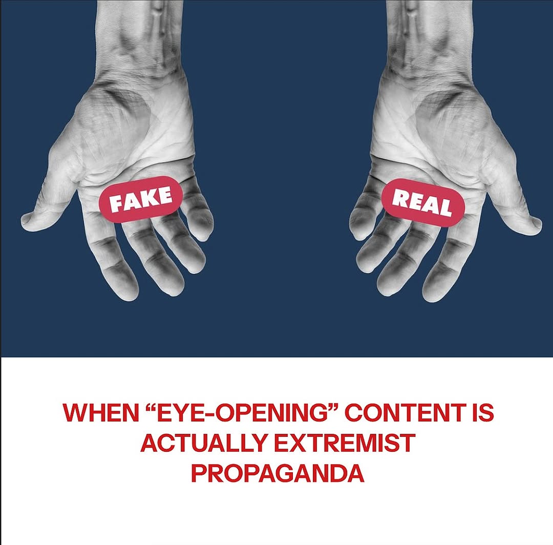 Fake vs Real: Spotting Extremist Propaganda