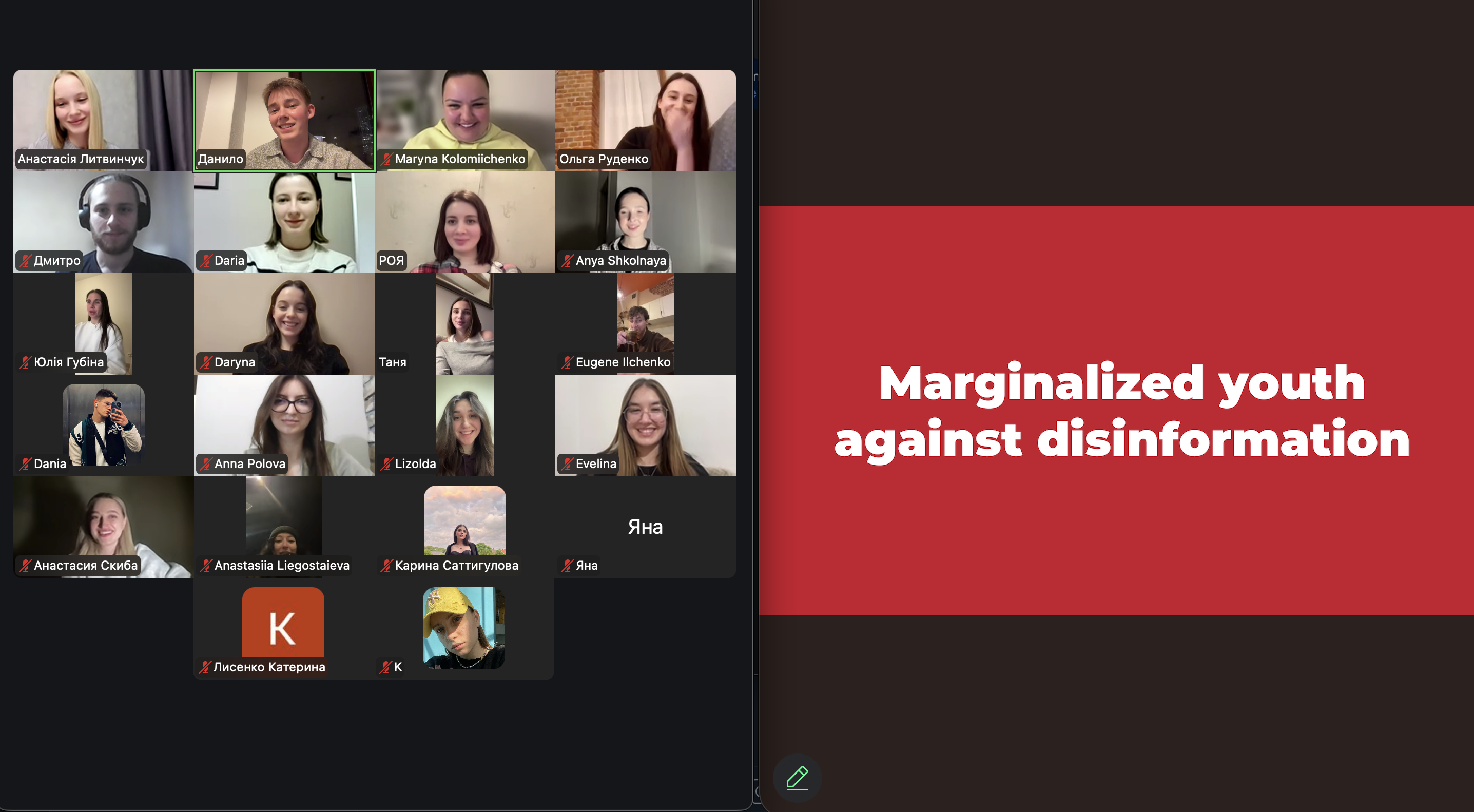 Workshop photo 2 in Online format